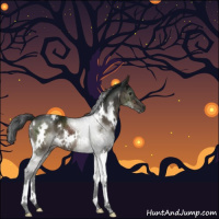 Horse Color:Gray White Spotted Brown Dun Brindle 