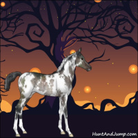 Horse Color:White Spotted Brown Dun Mushroom Rabicano Brindle