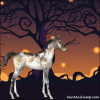 Horse Color:White Spotted Brown Onyx Brindle