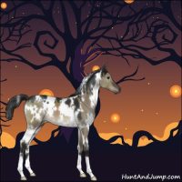 Horse Color:Gray White Spotted Brown Dun Mushroom 