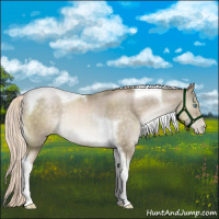 Horse Color:Chocolate Palomino Pearl Mushroom Tobiano Rabicano 