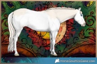 Horse Color:Perlino Dun Splash 