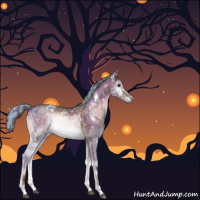 Horse Color:Painted White Spotted Liver Red Dun Ice Onyx Sabino Rabicano 