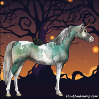 Horse Color:Silver Blue Onyx Sabino Tobiano Rabicano 