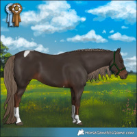 Horse Color:Liver Chestnut Tobiano 