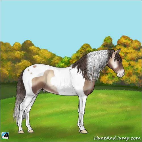 Horse Color:Blue Onyx Pearl Tobiano 