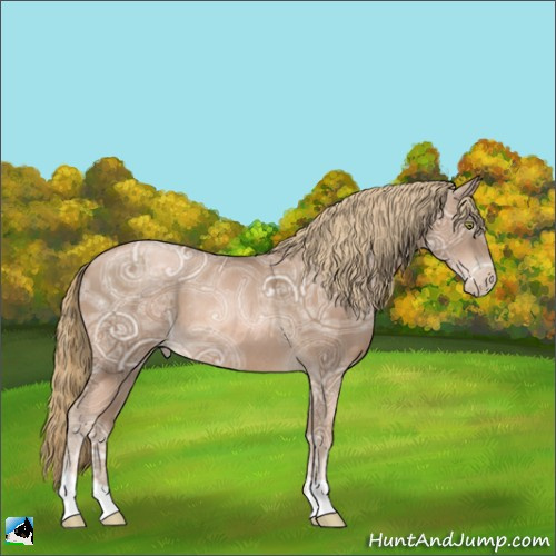 Horse Color:Liver Chestnut Ice Pearl Rabicano 