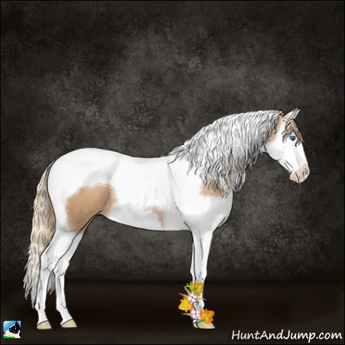 Horse Color:Chestnut Pearl Splash Tobiano
