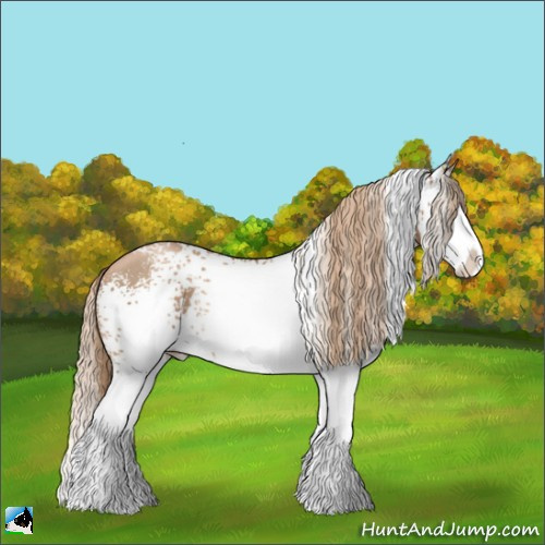 Horse Color:White Spotted Liver Chestnut Pearl Splash Rabicano 
