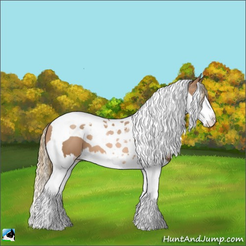 Horse Color:Liver Chestnut Pearl Splash Tobiano 