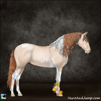 Horse Color:Classic Champagne Pearl Tobiano 