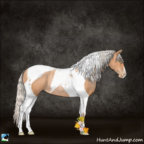 Horse Color:Silver Bay Pearl Tobiano Rabicano
