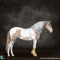 Horse Color:Liver Chestnut Ice Pearl Tobiano Rabicano 