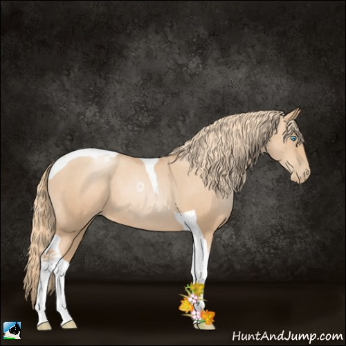 Horse Color:Gold Champagne Pearl Tobiano 