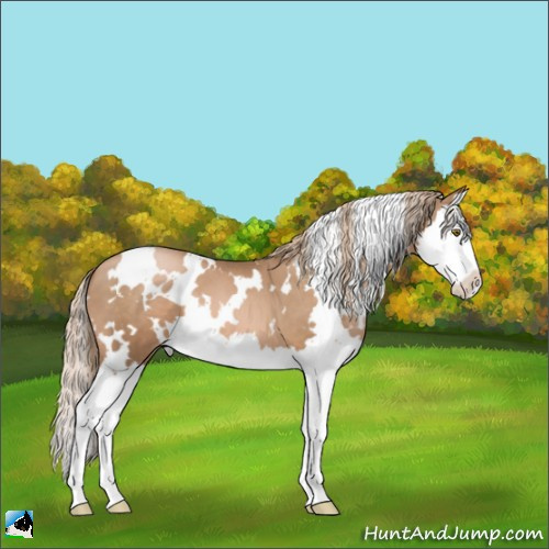 Horse Color:White Spotted Liver Chestnut Pearl Splash 