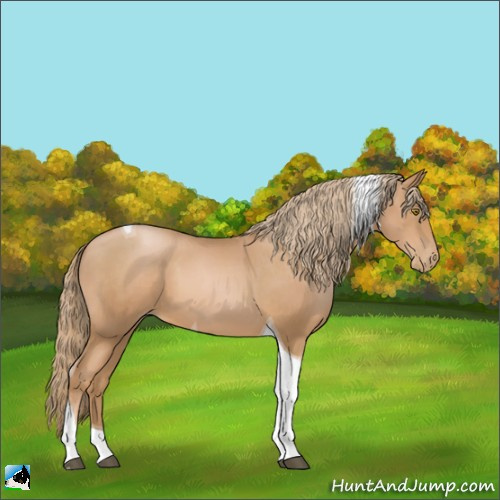Horse Color:Chestnut Pearl Tobiano 