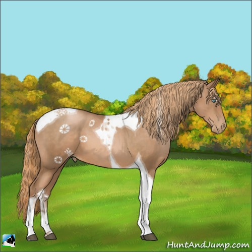 Horse Color:Liver Chestnut Pearl Tobiano 