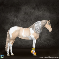 Horse Color:Gold Champagne Pearl Tobiano Rabicano 