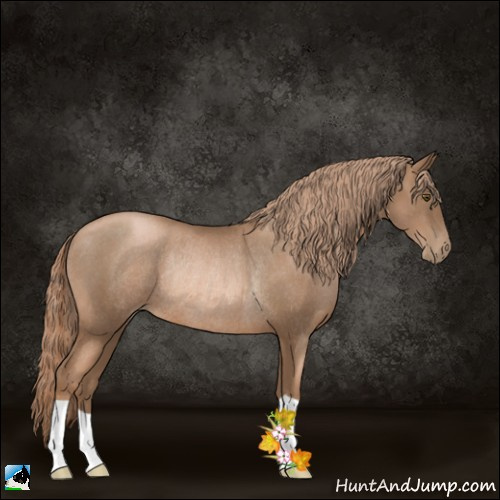 Horse Color:Liver Chestnut Pearl Rabicano 
