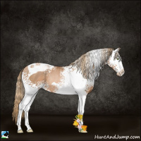 Horse Color:White Spotted Liver Chestnut Pearl Tobiano Rabicano 