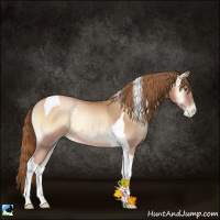 Horse Color:Red Onyx Pearl Tobiano 