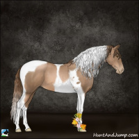 Horse Color:Liver Chestnut Pearl Tobiano 