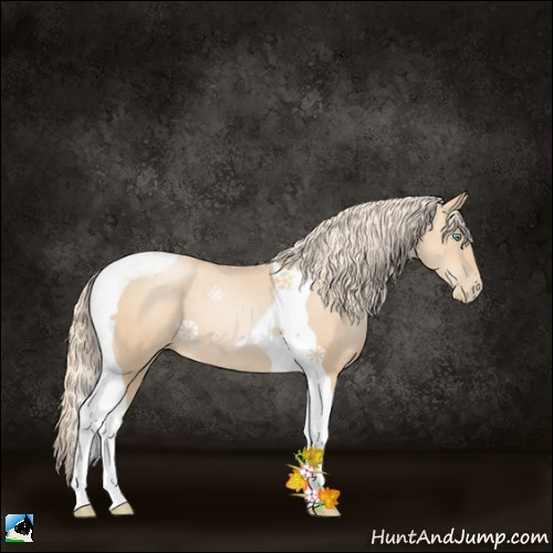 Horse Color:Gold Champagne Pearl Tobiano