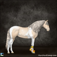 Horse Color:Gold Champagne Pearl Tobiano 