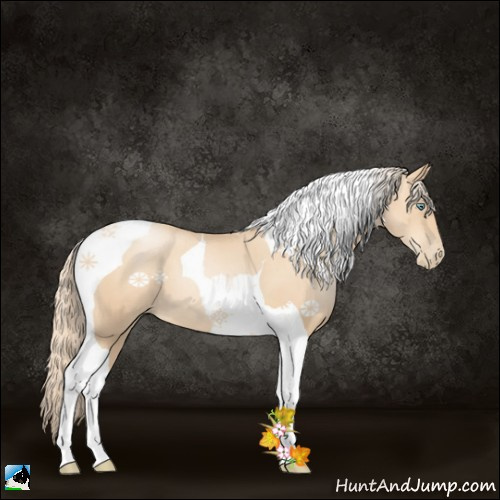 Horse Color:Gold Champagne Pearl Tobiano 