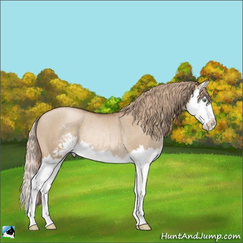Horse Color:Liver Red Dun Pearl Sabino Splash Rabicano 