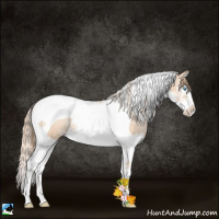 Horse Color:Gold Champagne Pearl Splash Tobiano Rabicano 