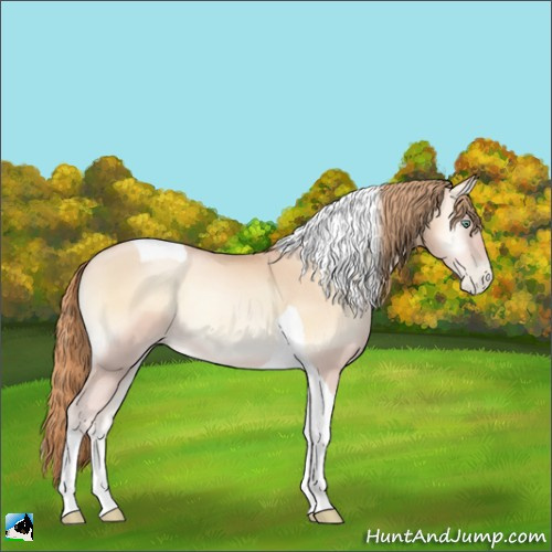 Horse Color:Gold Champagne Pearl Onyx Tobiano 