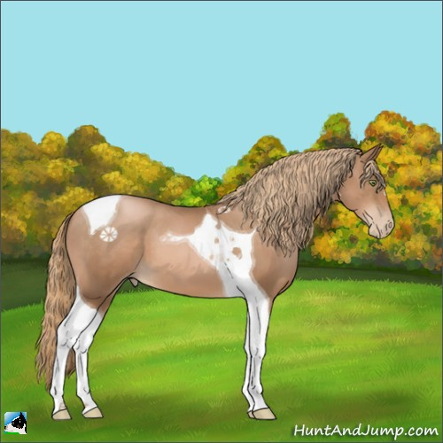 Horse Color:Liver Chestnut Pearl Tobiano 