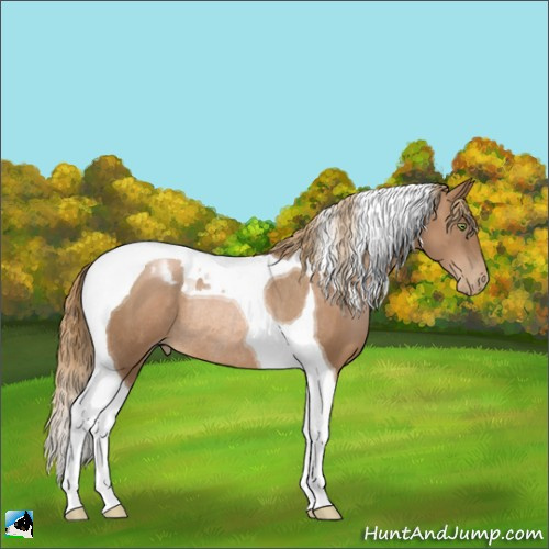 Horse Color:Liver Chestnut Pearl Tobiano Rabicano 