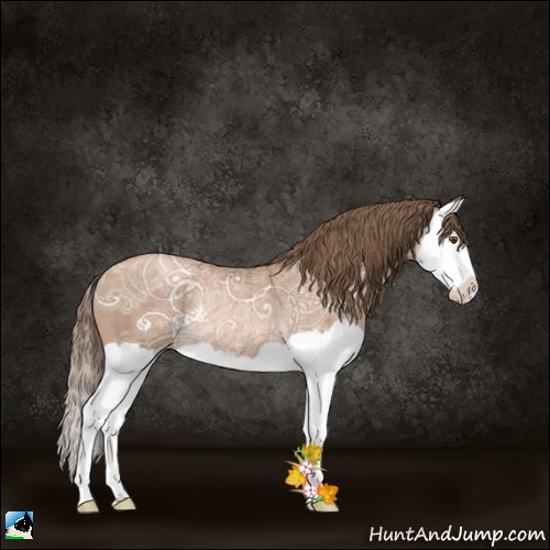 Horse Color:Black Ice Pearl Splash Rabicano 