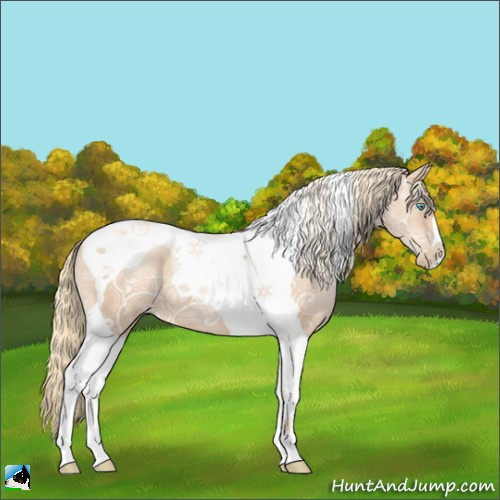 Horse Color:Gold Champagne Ice Pearl Tobiano 