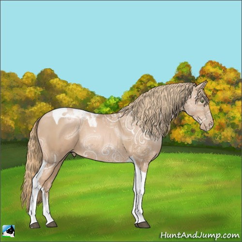 Horse Color:Chestnut Ice Pearl Tobiano Rabicano 