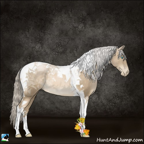 Horse Color:Chocolate Palomino Pearl Tobiano Rabicano