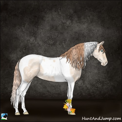 Horse Color:Classic Champagne Ice Pearl Tobiano
