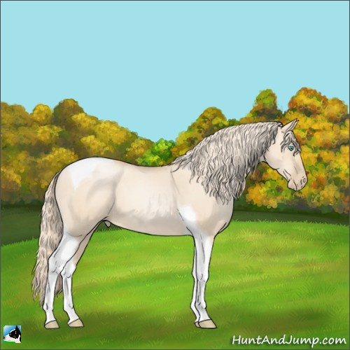 Horse Color:Gold Champagne Pearl Dun Tobiano 