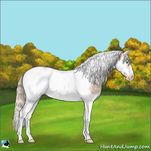 Horse Color:Chestnut Ice Pearl Splash Tobiano Frame 