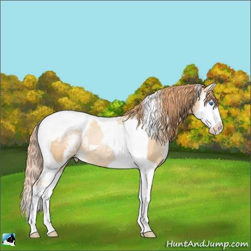 Horse Color:White Spotted Classic Champagne Pearl Splash Tobiano 