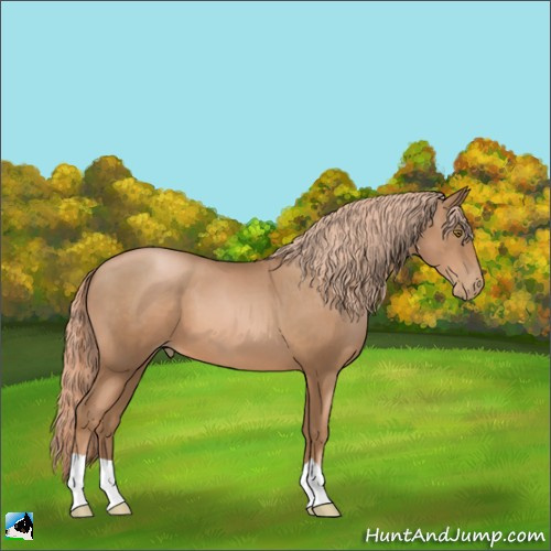Horse Color:Liver Chestnut Pearl 