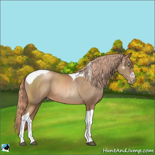 Horse Color:Liver Chestnut Pearl Tobiano 