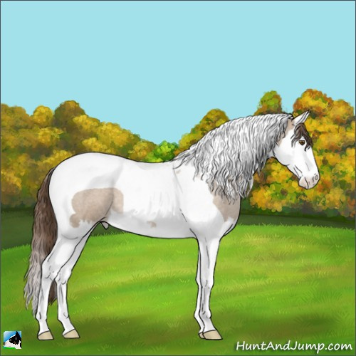 Horse Color:Grullo Roan Pearl Splash Tobiano 