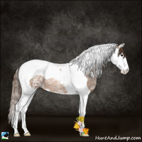 Horse Color:Brown Ice Pearl Splash Tobiano Rabicano 