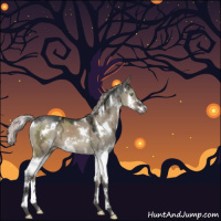 Horse Color:Gray White Spotted Silver Brown Ice Dun Mushroom Sabino Splash