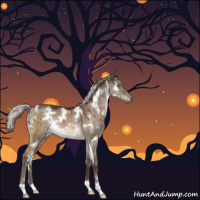 Horse Color:White Spotted Silver Brown Dun Mushroom Brindle 