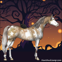 Horse Color:White Spotted Chocolate Silver Buckskin Dun Mushroom Splash Rabicano Brindle 