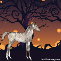 Horse Color:White Spotted Silver Brown Dun Sabino Rabicano Brindle 
